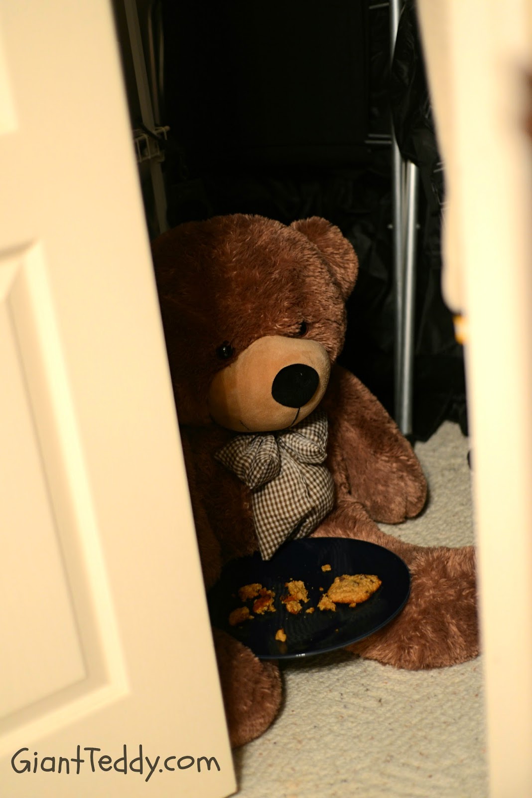 Nothing left but a big plate of crumbs. And a very stuffed big teddy bear