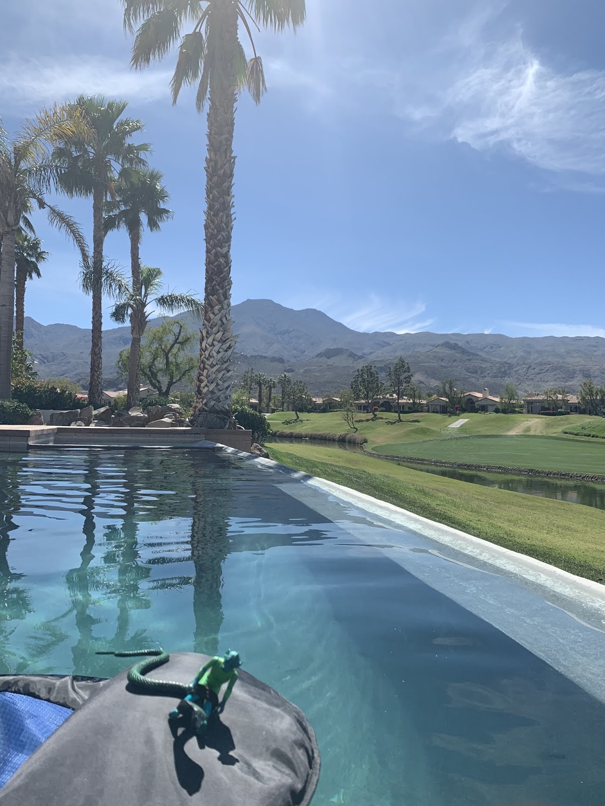 Greedo and the Snake Palm Springs