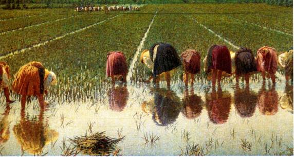 Luca Rivara Blog Il Divisionismo Angelo Morbelli & Co. jpg (572x305)