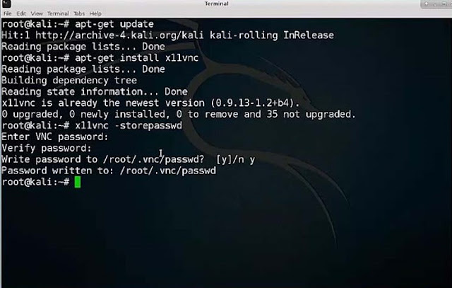 connect to vnc server from kali