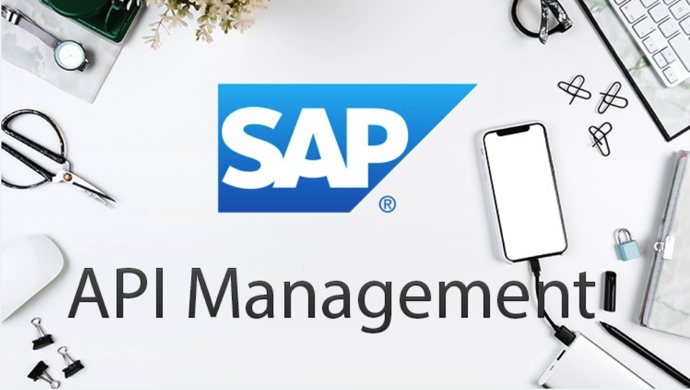 Day 0f Develop: SAP API Management