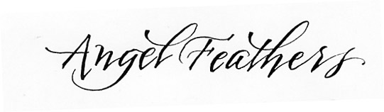 Trish Taylor Calligraphy: Overflow project samples 