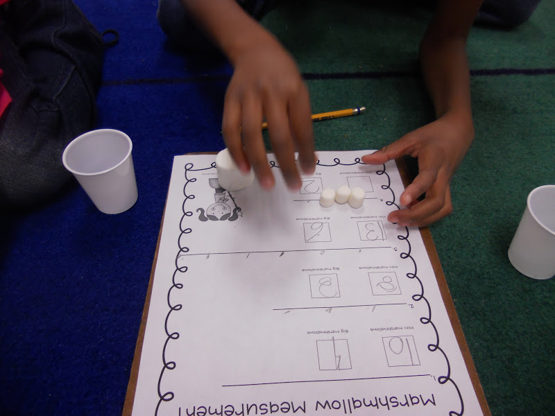 Glowing 1st Graders Marshmallow Measurement