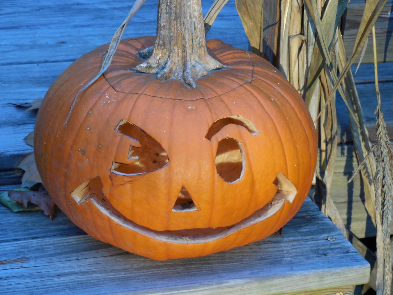 Share it! Science : Discovering Decomposition with Pumpkin Jack