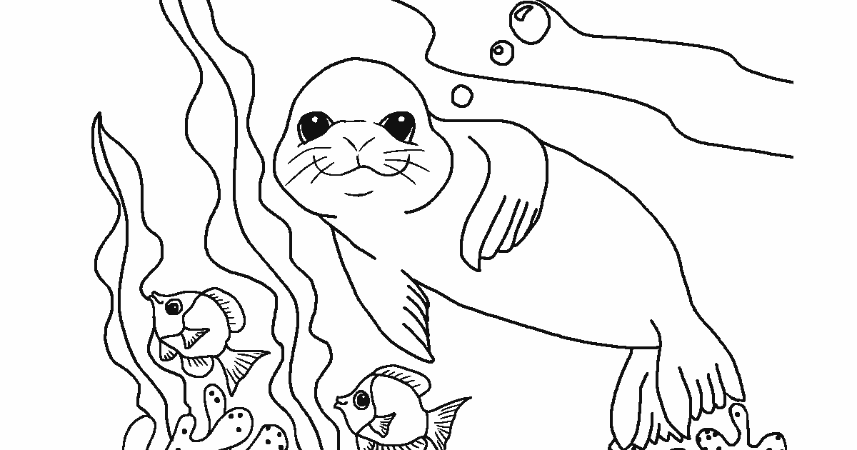 Gambar Mewarnai Singa Laut Untuk Anak-Anak - Contoh Anak PAUD
