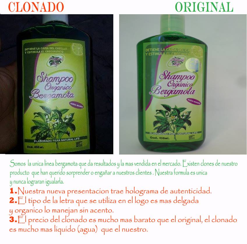 SHAMPOO ORGANICO BERGAMOTA