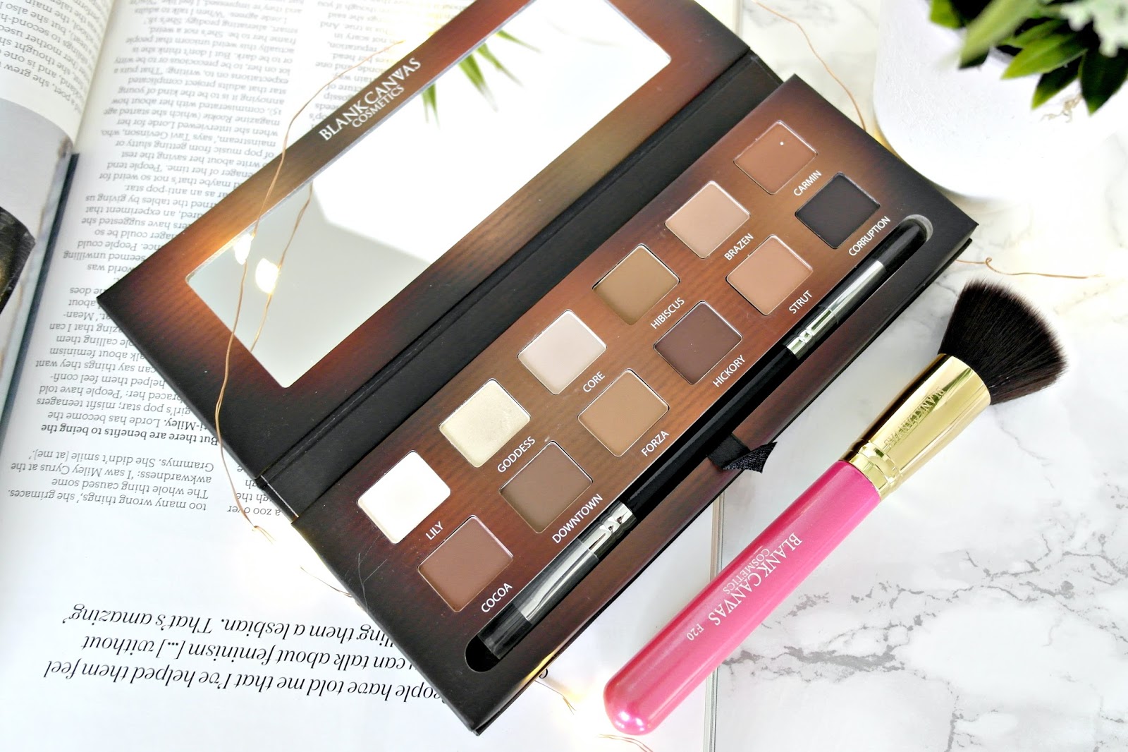 Blank Canvas Cosmetics master series 1 palette and F20 brush 
