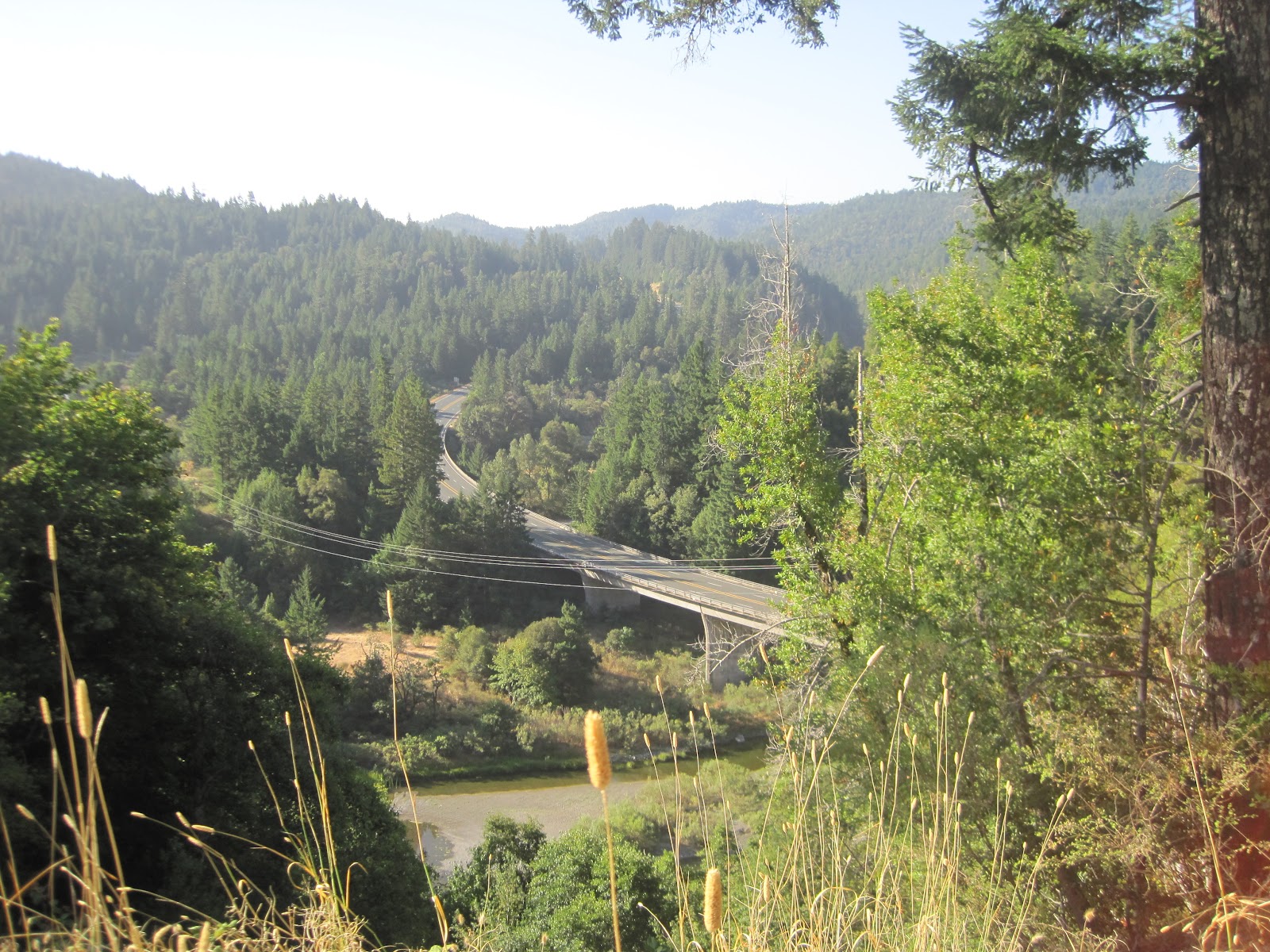 Jeff's Cycling Adventures Ride the West Day 10, Garberville