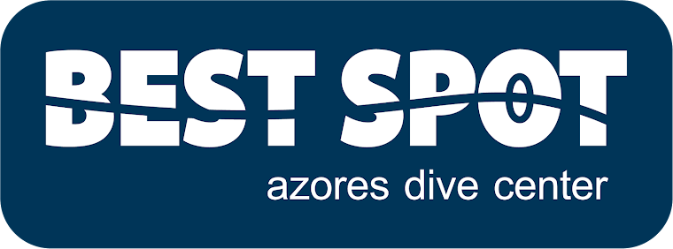 Best Spot Azores PADI 5* Dive Center