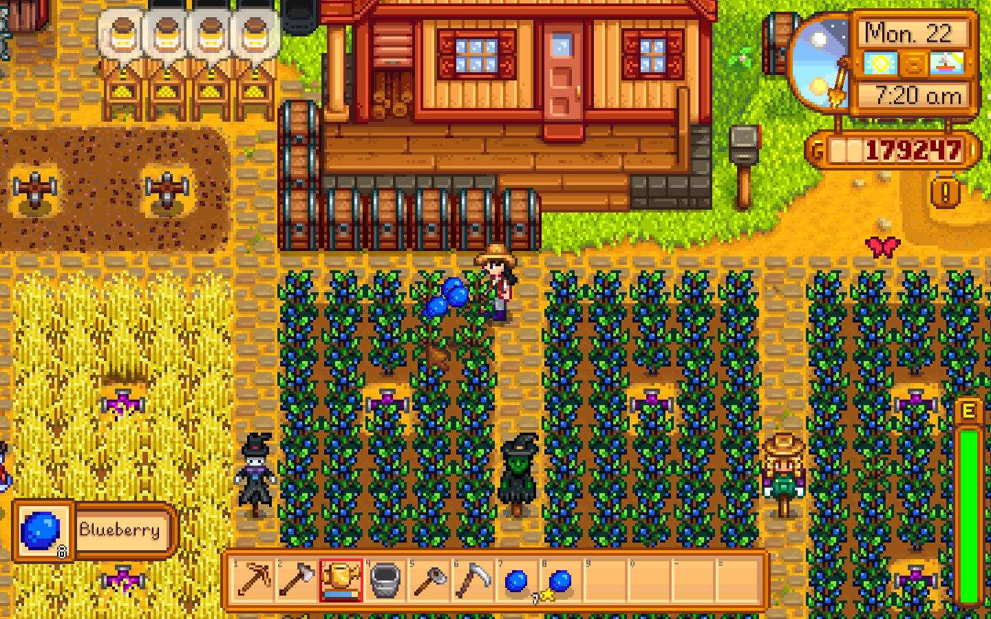 Stardew Valley (PC)
Summer crops: Blueberry