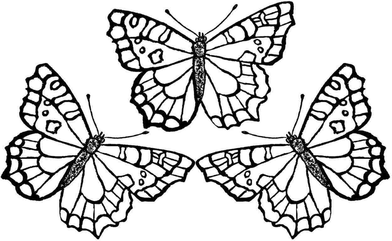 Раскраски для детей 4 5 бабочки. Разукрашка бабочка Адмирал. Раскраска "бабочки". Бабочка раскраска для детей. Раскраска для девочек бабочки.