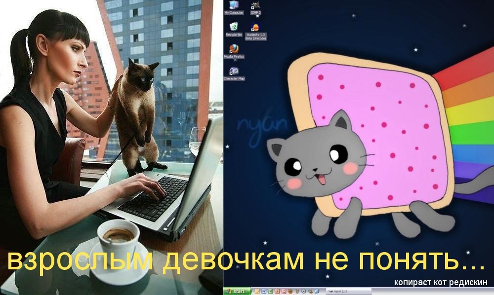 Почему котикам компьютеры не нравятся nyan mp3 скачать