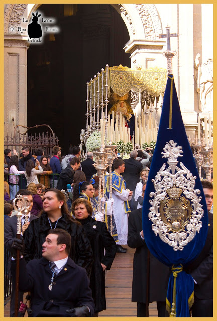 Hermandad de la Borriquilla Granada