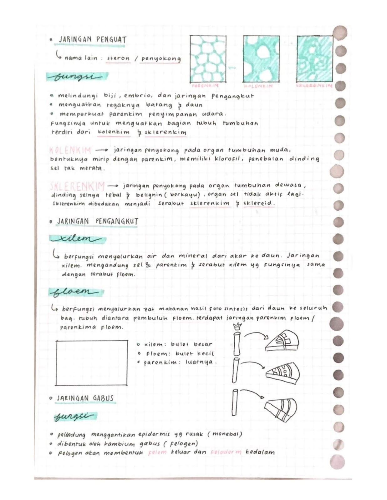 Soal essay biologi kelas 11 jaringan tumbuhan 03 image