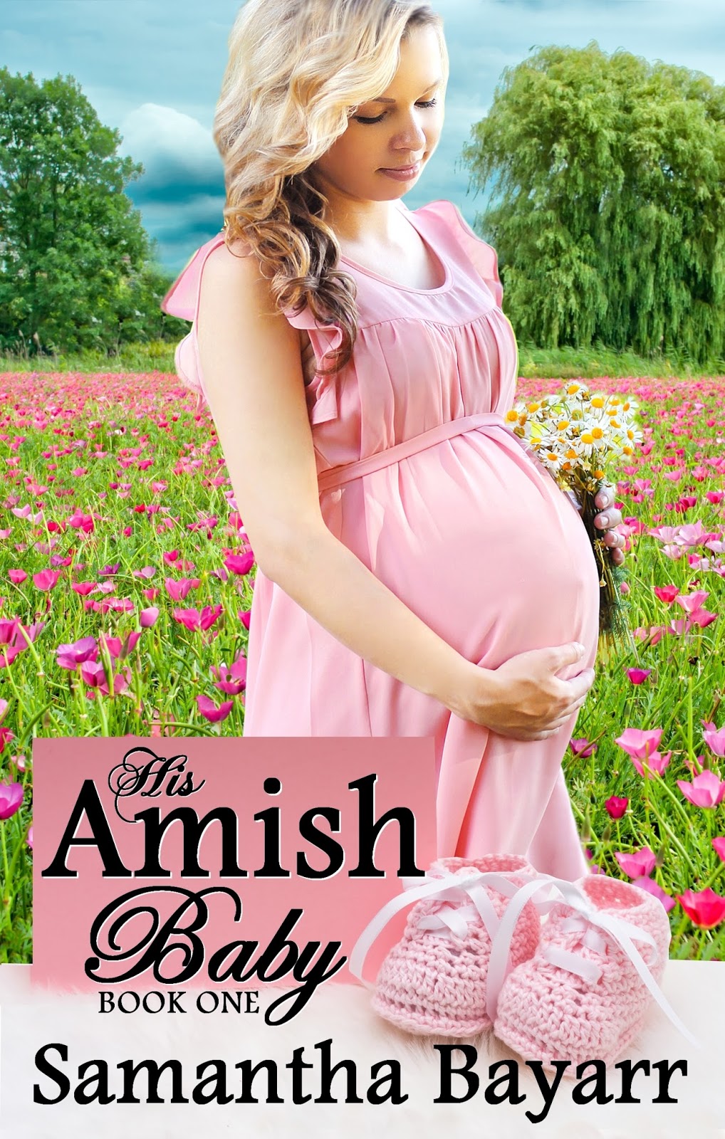 Amish Books New Release Amish Books