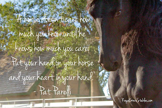 horse quotes 