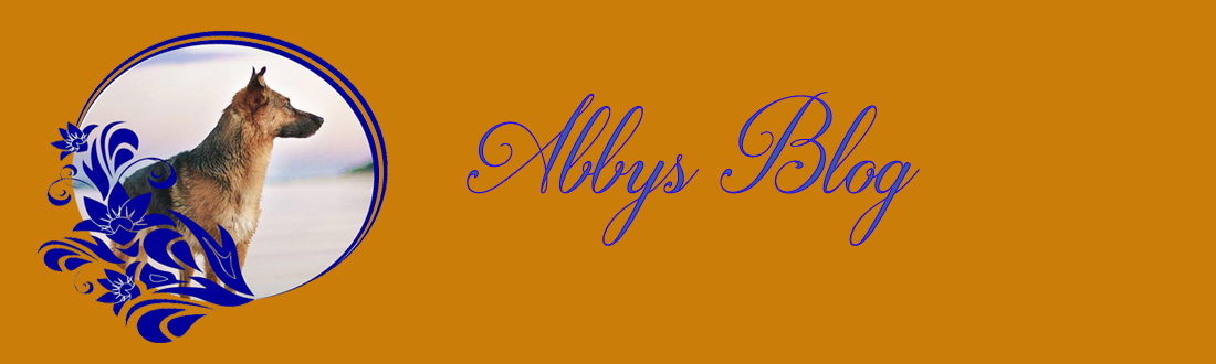 Abbys Blog