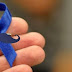 FIQUE SABENDO! / 'Novembro Azul' alerta para prevenção do câncer de próstata