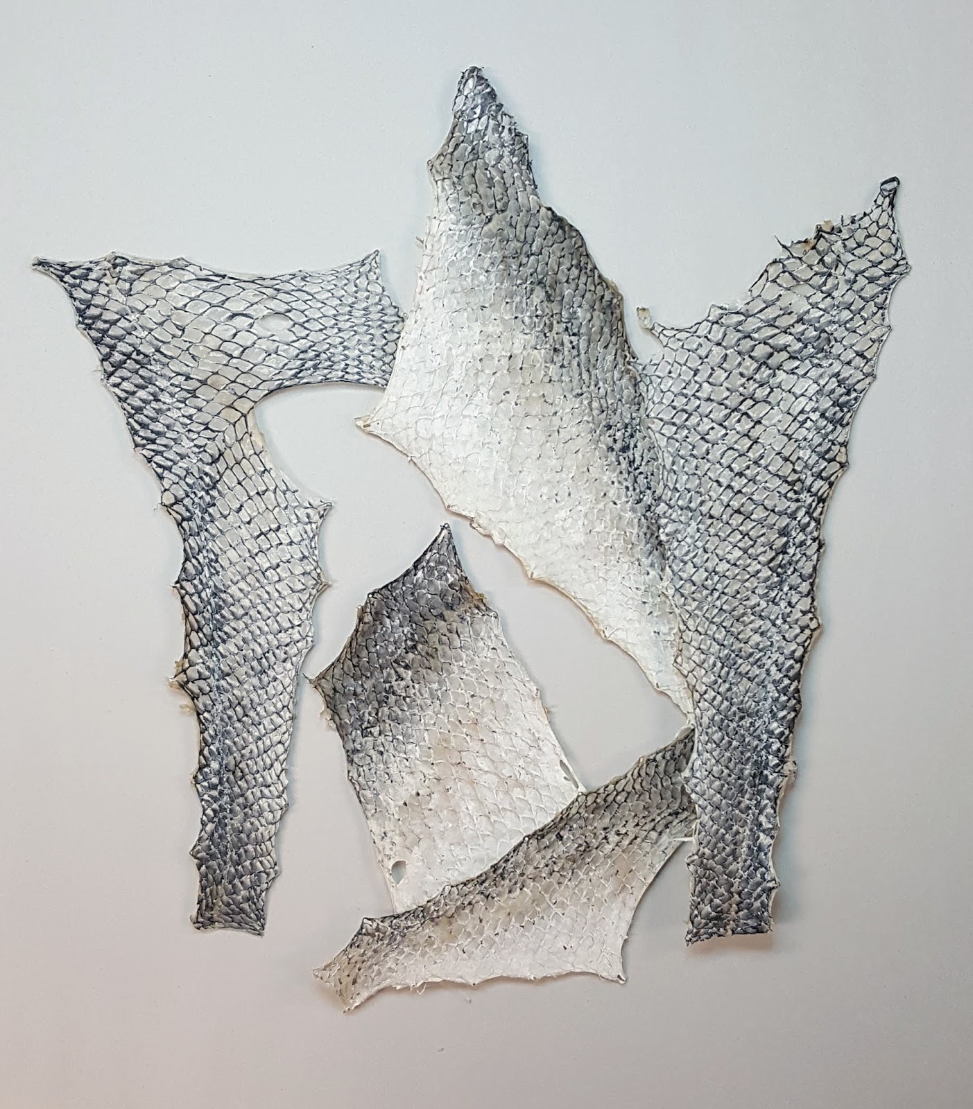 The Pressbengel Project Exploring German bookbinding traditions and