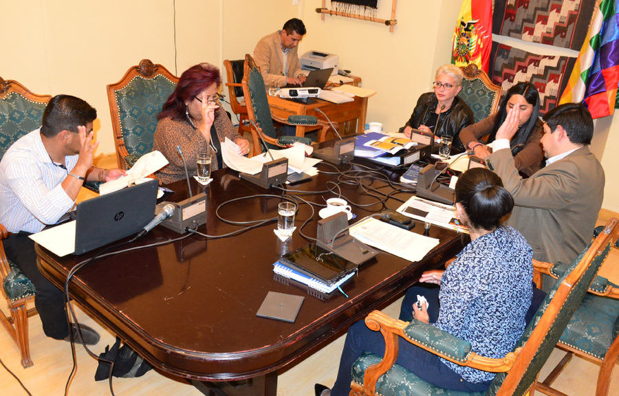 Comisión mixta con mayoría del MAS es presidida por la diputada Susana Rivero / DIPUTADOS