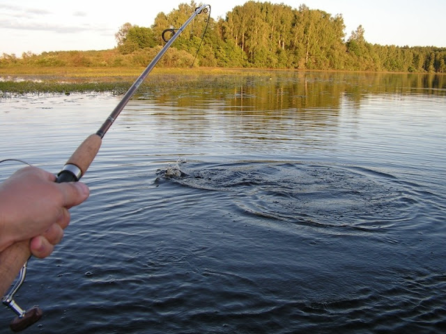 Рыбалка на Сеньково