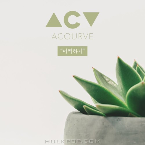 ACOURVE – What can I do – Single