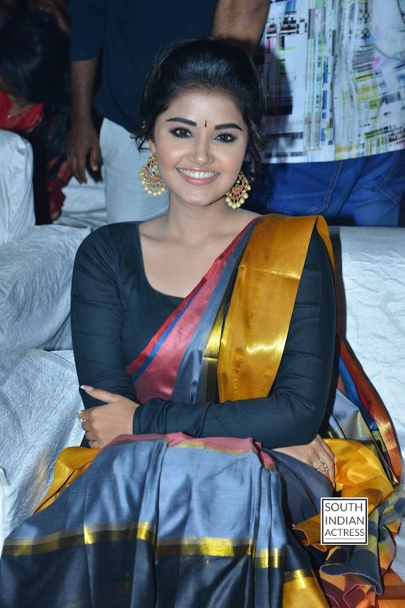 Anupama Parameswaran at Tej I Love You Audio Launch
