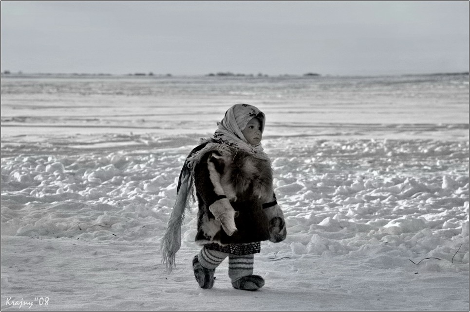 Уезжают люди севера. Уезжают люди севера. Эскимосы оленеводы. Вахтовики на севере. Жизнь в тундре.
