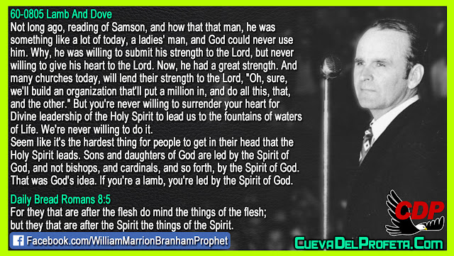 Not bishops and cardinal but by the Spirit of God - William Branham Quotes