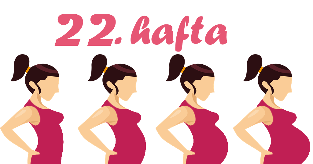 22 Haftalık Gebelik (Hamilelik)