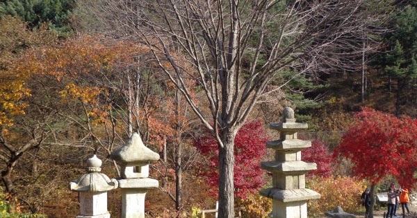 My South Korea Travel Resources - Travel Bytez