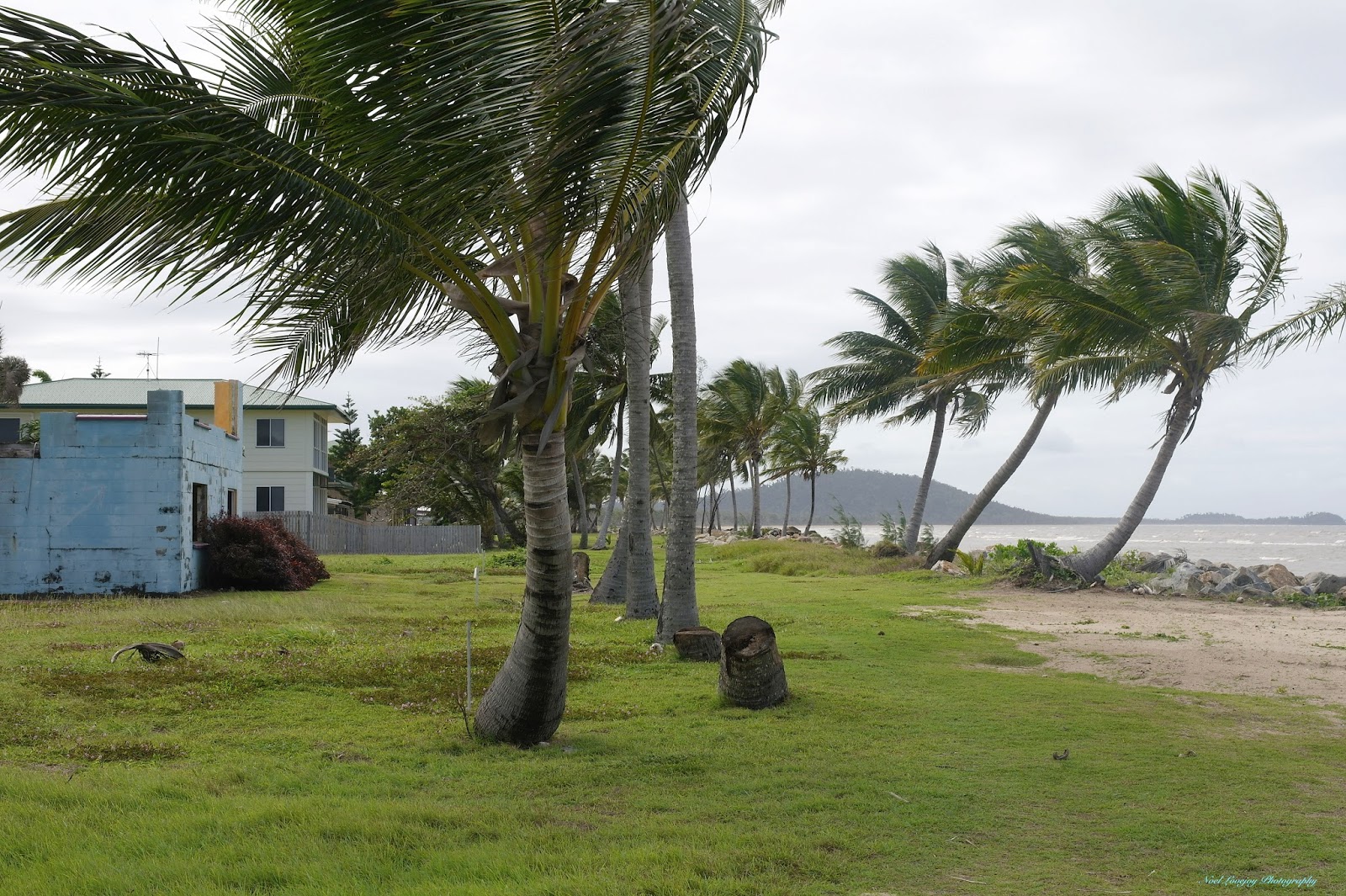 Can Go Around Australia Tully, Tully Heads and Hull Heads