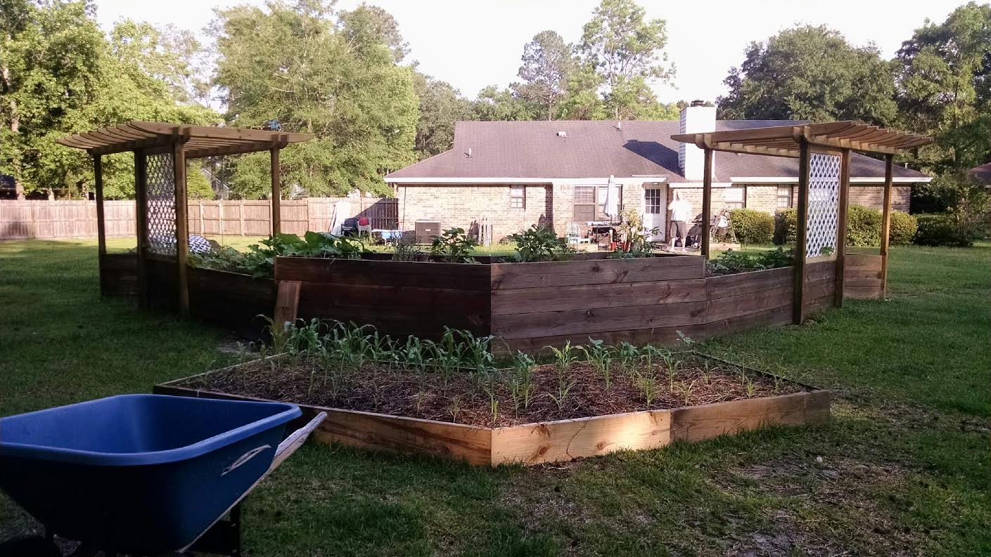 Filling Raised Beds on a Budget