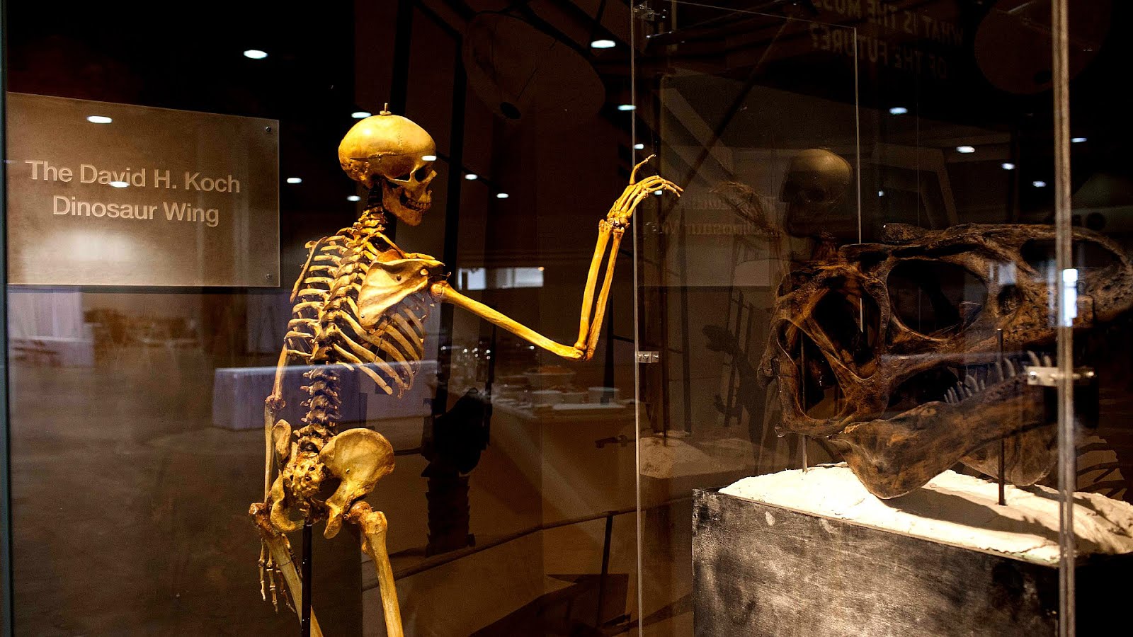 Science Museums In Atlanta Trip to Museum