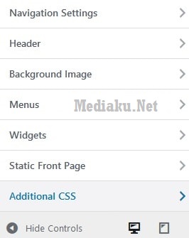 Custom CSS WordPress