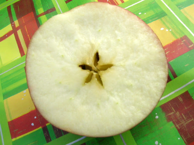 ×ª××× × ×§×©××¨×