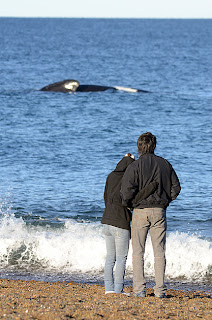 Abrazos y emociones en Playa El Doradillo - Cuna de Ballenas