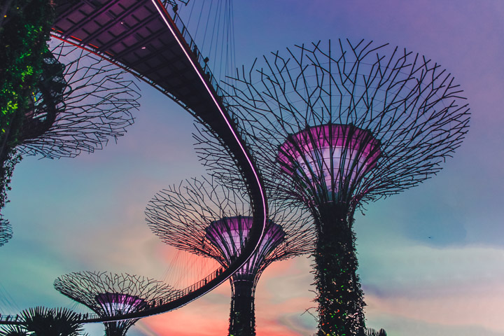 Supertree Groove Singapore
