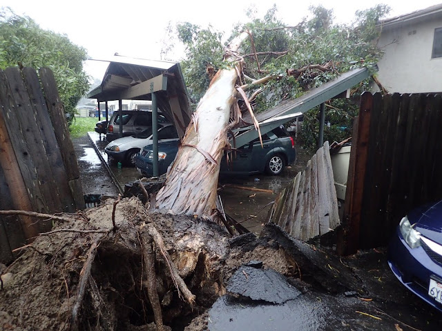 The Big Wobble - LOOK AT THE PICTURES California-Storms_Inte