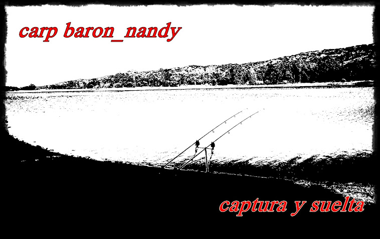carp baron_nandy