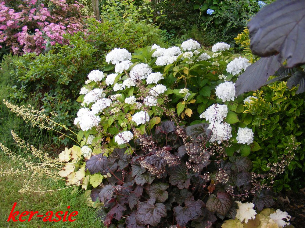 Sommaire I Les Sans Souci Theme Pour Reussir Ses Plantations