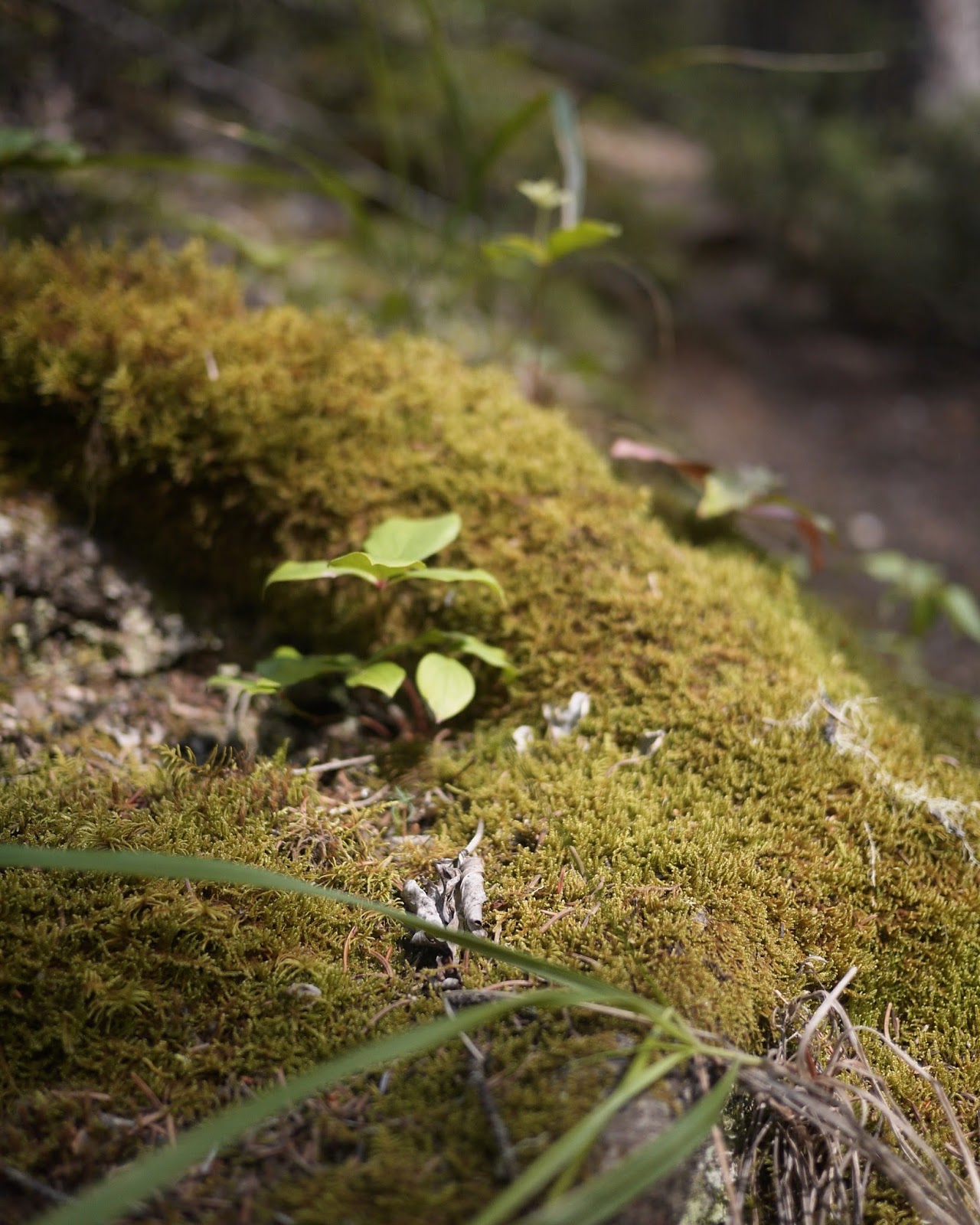 A glimmer and a spark Room to breathe August 5 on 5