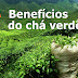 23 benefícios do chá verde para sua saúde, perda de peso e pele