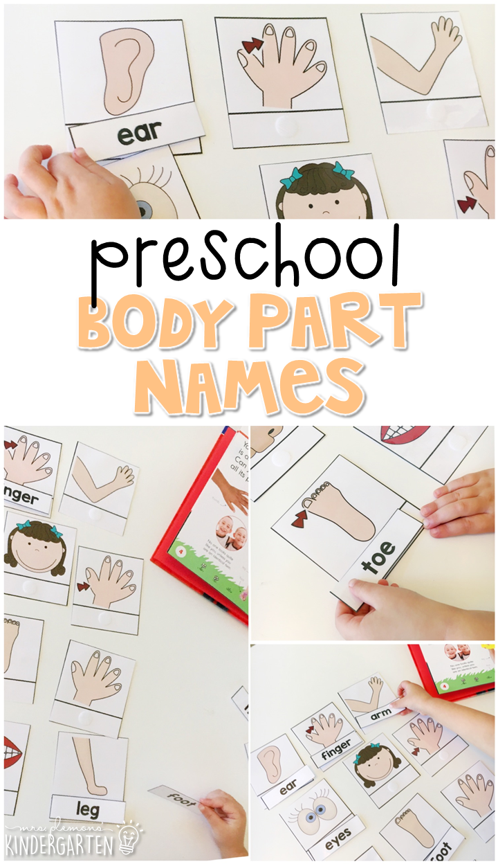 Body Parts Theme Activities For Preschoolers Theme Image