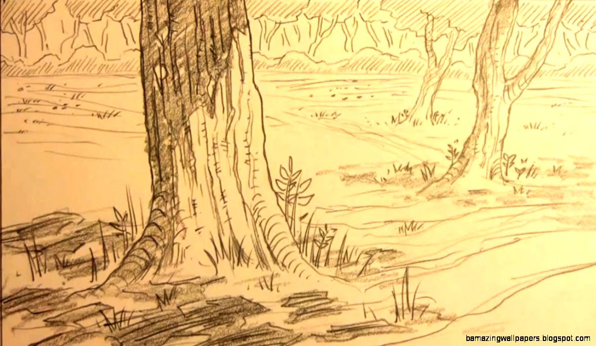 How to Draw Forest Backgrounds for Manga   YouTube