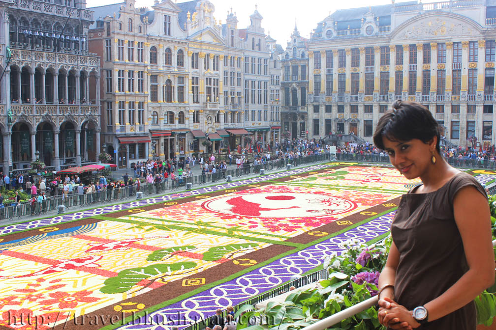 Brussels Flower Carpet (Brussels Belgium) My Travelogue