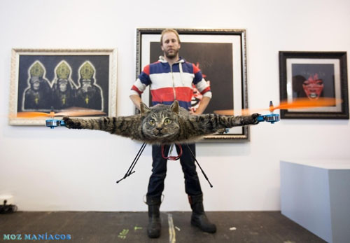 Alguns Malucos Transformaram Gato Morto em Helicóptero