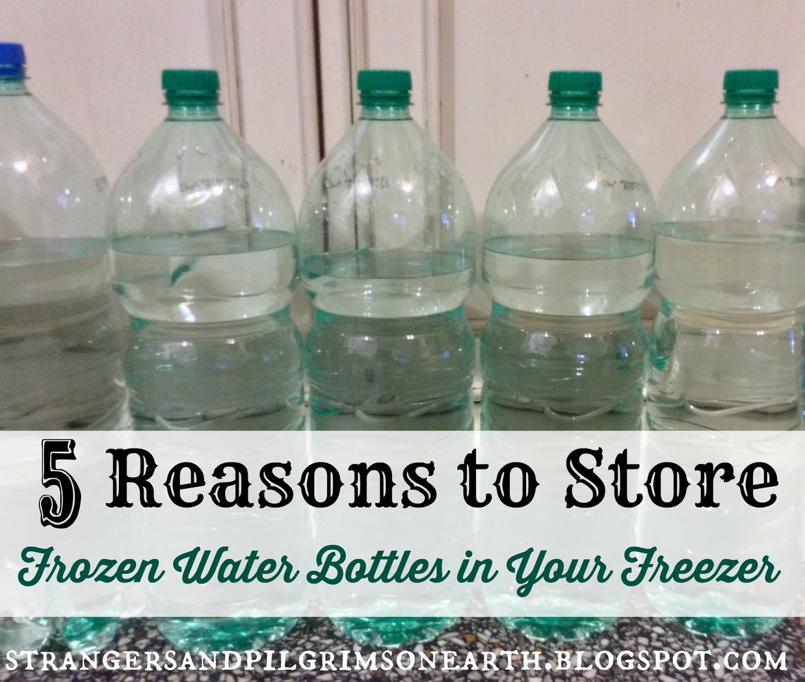 Strangers & Pilgrims on Earth 5 Reasons to Store Frozen Water Bottles
