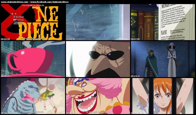 One Piece 812