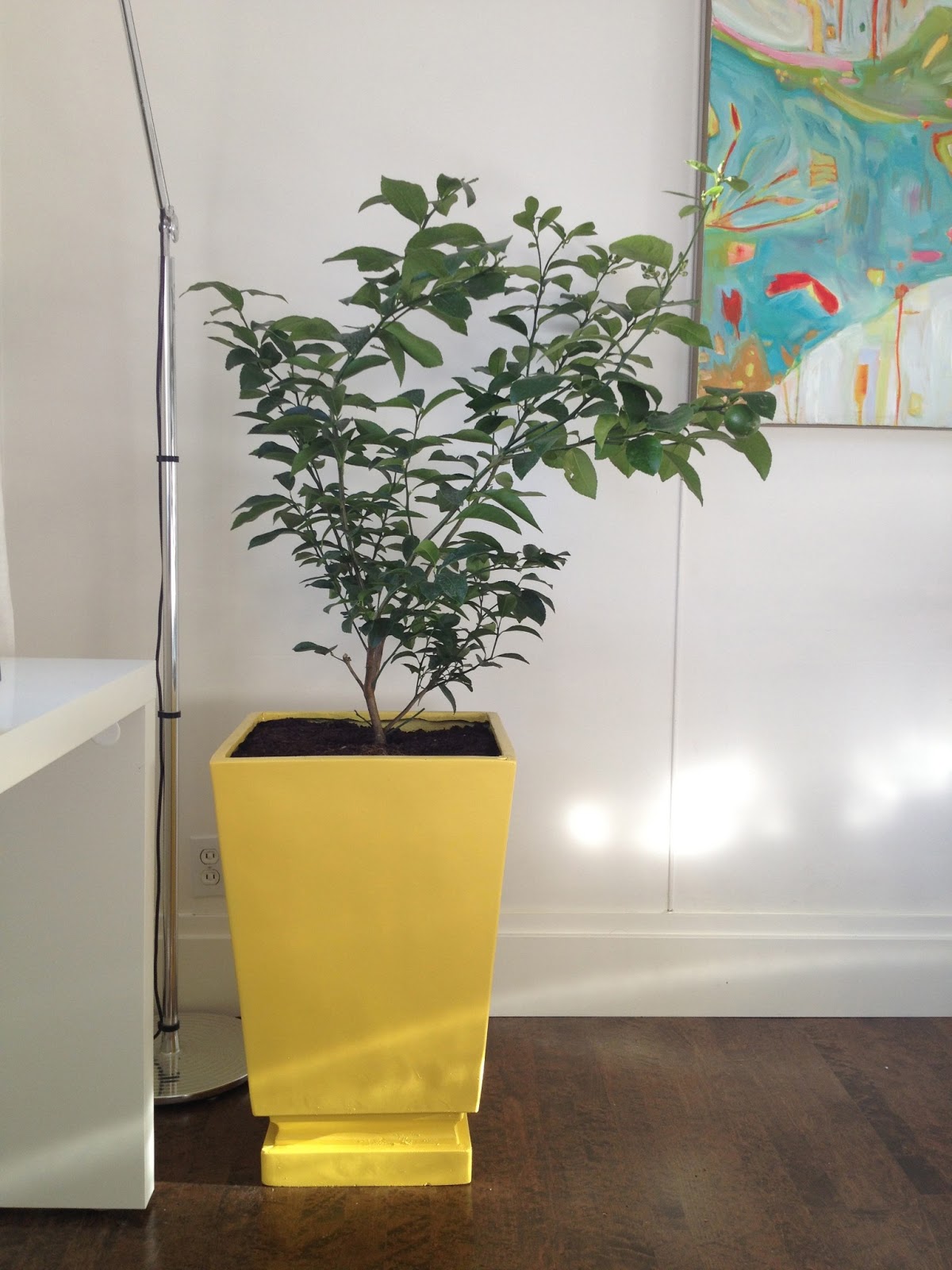 Moth Design by Erica Cook A Calgary Based Lifestyle Blog Painted